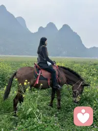 去追风去骑马，沐浴在大自然里，心是自由的配图