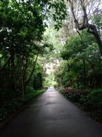 心理咨詢是服務業，客戶一定帶給你情緒壓力甚至痛苦。你能承受處理多少決定了你能幫助多少。客戶才是中心，客戶當了中心得到支持，就得到了改變的力量。理論當中心是可笑的，咨詢師當中心是失職的。配圖