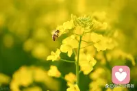 男人其實不需要你對他有多好，比如噓寒問暖、跑腿、用錢討好他、事事以他為中心。男人需要的是“價值”，女人需要的是卻“情感”。配圖