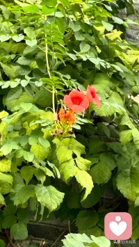 聰明的人，從不相信人品，只相信人性。配圖