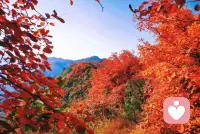 大多數人，都是一邊幼稚，一邊精明，一邊孩子氣，一邊穩重，你能夠正確處理，獨立和依賴的關系。配圖