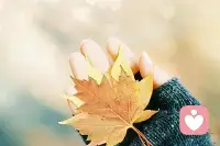 當(dāng)你長(zhǎng)期友善地對(duì)待一個(gè)人時(shí)，如果這個(gè)人的認(rèn)知不高，那么他大概率會(huì)把你們的關(guān)系理解成他高于你，把你的友善理解為理所當(dāng)然，甚至視為一種討好。所以不能對(duì)一個(gè)人太好！配圖