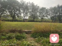 女人要記住，老公和婆婆不是親人。配圖