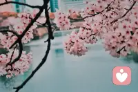 不要總說“讓孩子贏在起跑線”，你的人生就是他的起跑線。配圖