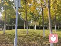 再深愛的女人，給不了自己需要的，男人不會娶。不愛的女人，能夠滿足男人需求的，男人可以對其負責一生。配圖