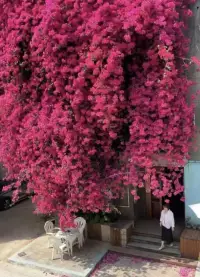 從玄學上說，每個人一生都會出生兩次，而不是一次。

第一次是你父母生你，第二次是你生你。配圖