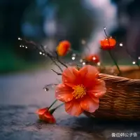 女人情緒穩定，大多是被愛滋養出來的。配圖