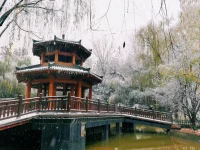 西安，加油配圖