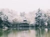 西安，加油配圖