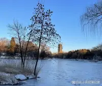 在旁人一次次勸說(shuō)吞下委屈和心酸的婚姻，虧欠的人終究只有自己一個(gè)人。配圖