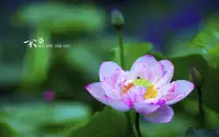 這個世界上唯一能靠得住的，就是你給別人創造的價值。你有價值，別人就會對你講感情；沒價值，也就沒有感情。配圖
