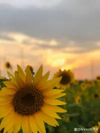 在職場中不斷提升自己的價值。不討厭任何人，不去浪費任何時間，只為成為更好的自己。配圖
