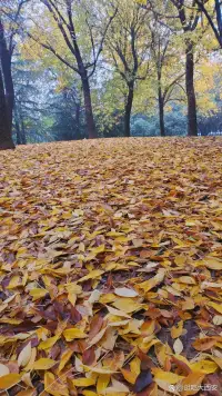 現代男女關系上，異性主要看上的是你的價值，而不是你的付出。本身有價值，什么都不用做。配圖