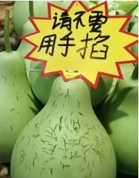超市蔬菜区看到的现象，没有提示牌之前，只有几个掐痕迹，有提示牌后，变成无数个掐痕了，说明了什么？越是明确提醒，越是暗示动手！配图