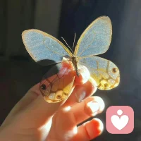 幸福不是擁有最好的一切
而是把當(dāng)下一切變得最好配圖