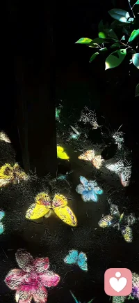 如果你愛一個人，
一定要告訴他，
不是為了要他報答，
而是讓他在以后黑暗的日子里，
否定自己的時候，
想起世界上還有人這么愛他，
他并非一無是處。
～?三島由紀(jì)夫  ???配圖