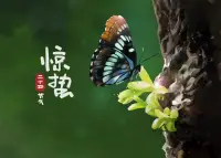 天氣轉暖
?漸有春雷
?動物入冬
?藏伏土中
?不飲不食
?稱之為蟄
?上天以打雷
驚醒蟄居的動物
?～驚蟄愉快配圖