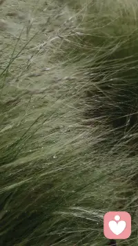 如果什么都做，將會一事無成。最好聚焦于一個東西，讓自己成為獨一無二的專家，而不是什么都干的通才。配圖