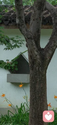 看一個人是否有力量，不能只看外在的表現。真正的力量是不張揚的。有與世無爭的進取，內在的堅毅，質樸無華的大度。配圖