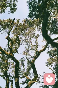 謝謝火焰給你光明，但是不要忘了那執燈的人，他是堅忍地站在黑暗當中呢。配圖