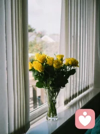 我本可以容忍黑暗，如果我不曾見過太陽，然而陽光已使我的荒涼，成為更新的荒涼。配圖