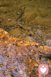 雖然歲月如流，什么都會過去，但總有些東西發(fā)生了，就不能抹煞。配圖