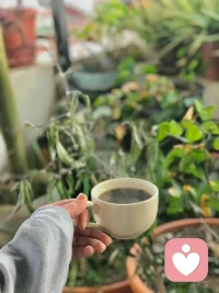 只要你自己不倒，別人可以把你按倒在地上，卻不能阻止你滿面灰塵遍體傷痕地站起來。配圖