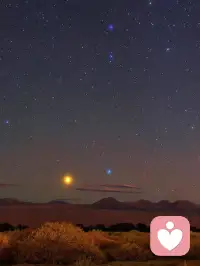 錢和被愛才是疲憊生活中的解藥，
 一個讓你物質富裕，一個讓你精神愉悅。 ???配圖