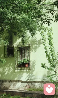 真正的從容不是躲避喧囂與紛爭，而是平靜地對待生活。配圖