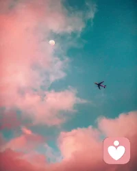 人到中年，最好的日子不是惊艳，不是繁华，而是远离喧嚣，一半清醒做好自己，一半努力包容别人。配图