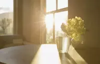 去交會(huì)讓你開心的朋友，去愛不會(huì)讓你流淚的人，去向自己想去的方向，去完成不論大小的夢想，生活應(yīng)該是美好而又溫柔的，你也是。配圖