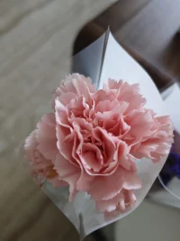 人生至高無上的幸福，莫過于確信自己被人所愛配圖