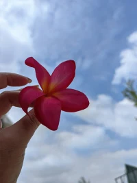 為一人心動
為一人情深
為一人癡心
又為這個人丟了半天命，
說不出哪里好，
就誰也替代不了
這個人就是你此生的劫配圖