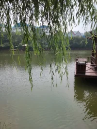 陽光，不只來自太陽，也來自我們的心。心里有陽光，能看到到世界美好的一面。配圖