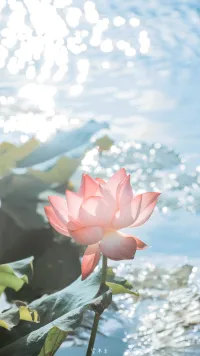 让人痛苦的原因。主要来源于人自身的贪嗔痴三毒。贪，既对人生某些东西，某种状态，或某些境遇的贪恋。如快乐。顺利，权势，财富，平安，健康，长寿等。希望别人喜欢自己。理解自己。接纳自己。赞美自己。幻想着自己能事业有成。一帆风顺。万事如意！遗憾的是，人生本就不是完美的。每个人都有很多缺憾和不如意。人不想接受这个现实，而又不得不接受。这就是痛苦的来源。