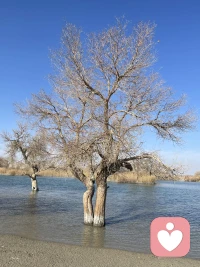 在我們的一生中，每個人都不可避免的會面對一些煩惱和挫折，但只要我們積極的去面對一切，就一定能夠找到出路。不管是在歷史上，還是在現實的生活中，很多偉大人物的一生，可以說沒有一個是一帆風順的，有的甚至是在接踵而至的磨難中度過的，挫折和失敗成了他生活中的主旋律。但是，正是挫折和失敗，使他們練就了強大的內心，并化解一道又一道難題，最終走向成功。
其實，人生路上所有的艱難險阻，都是老天爺給予我們的另一種形式的饋贈；而所有的坑坑洼洼，更是命運對我們意志的磨練和考驗。正如巍峨的高山，正是因為有了無數的險峰，才顯示出它那獨特的風光；浩瀚的大海，正是因為有了洶涌的巨浪，才展現出它那特有的雄渾；廣袤的沙漠，正是因為有了狂舞的飛沙，才展示出它那獨有的壯觀；美麗的維納斯，也正是因為斷臂，才展示出那種殘缺的美，并因此而聞名天下……配圖