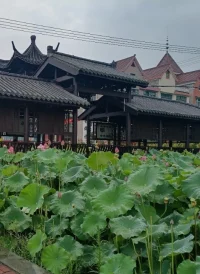 “遇見未知的自己”，覺察自己，看見自己
深入情緒，情緒背后是未滿足的需求，與其說是一種疾病，倒不如說是一種提醒。蘇格拉底說“人要認識自己，用一生來認識自己才知道你是誰。”所以只有先接納自己，認識自己，才可能改變自己；改變很痛苦，但不變會更痛苦。
愛與被愛，理解與被關注，肯定與認可
當情緒來臨的時候，就去想象天空有烏云漂來，你去觀察它就好，用這樣的方式來觀察我們自己。配圖