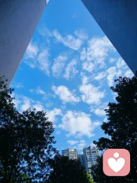 伴隨閱歷的增長，你會(huì)發(fā)現(xiàn)越有知越有成就的人越不容易輕易給他人評判和指點(diǎn)，智者誡口，愚者指點(diǎn)江山；能說服一個(gè)人的不一定是道理，更多可能是南墻，能點(diǎn)醒一個(gè)人的并非說教而是磨難。配圖