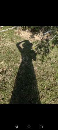 分享寓言故事“害怕影子的人”
        有个人被自己的影子和脚印吓坏了，认为它们是不祥之兆。为了摆脱影子和脚印，他拼命奔跑，但无论跑多快，影子始终跟随，脚印也越来越多。最终，他因过度疲惫而死去。请您感悟其中的哲理……

其实，只要站在阴暗处，影子自然消失；停下脚步，脚印也不会再增加。故事寓意着人们不应逃避内心的恐惧和困扰，而应正视并接受它们，保持内心的平和与宁静。逃避无法解决问题，正视和接受才能带来真正的解脱。
