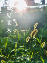 你為什么會(huì)感到孤獨(dú)？分離感
你覺得你和這個(gè)世界是割裂的；
你和他人是對(duì)立的；
你和生命是疏遠(yuǎn)的；
你和你自己也是不連通的。
無論焦慮還是抑郁；是過度討好還是社交恐懼；是控制欲；完美主義；還是自我懷疑和情緒成癮，背后往往都藏著一個(gè)隱藏的根源，你的內(nèi)心深處，覺得自己是孤立的。
于是你開始拼命構(gòu)建一個(gè)理想自我的幻覺：
我必須贏，必須好，必須不被討厭；我必須控制局勢(shì)，我必須看起來從容，必須避免一切混亂；
我必須一直想，一直算，一直想抓住點(diǎn)什么；
否則我就會(huì)崩塌，就會(huì)一無所有。
你為什么會(huì)焦慮？
因?yàn)槟阋詾椋磥淼哪硞€(gè)我，會(huì)因?yàn)槟悻F(xiàn)在的不努力而受罰。
你為什么恐懼人際關(guān)系？
因?yàn)槟阋詾椋瑒e人的否定可以決定你是誰。
你為什么無法真正休息？
因?yàn)槟阆嘈牛绻闼上聛恚@個(gè)世界就會(huì)拋下你，忘記你。
這些都是我執(zhí)造成的。那個(gè)虛構(gòu)出來的，不停自證存在的我，才是你真正的壓力源。配圖