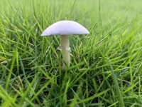 世事无相  相由心生  物事皆空  实为心瘴