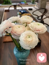 新年快乐！丙午马年，不必急着奔跑，允许自己按舒服的节奏前行。您的每一步，哪怕是停顿，都有意义。愿您被世界温柔以待，更愿您温柔待己，照顾好自己。