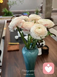 【丙午马年 · 致每一个信任我的您】
 
新年快乐！在这个红火的马年，想对曾与我相遇的每一位您，道一声深深的感恩。
 
感谢您在脆弱迷茫的时刻，选择将后背交给我；
那些深夜的倾诉、未曾说出口的委屈，以及您为了改变所做出的每一次微小努力，我都妥帖收藏。
 
我始终相信，心理咨询的意义，从来不是我为您照亮了路，而是我陪您一起，擦亮了您手中原本就有的灯。
 
新的一年，愿您既有马不停蹄的热爱，亦有且停且行的松弛。
愿所有情绪都有归处，哪怕历经风雨，依然能在这个春天，重新长出拥抱自己的力量。
 
2026，祝您平安喜乐，身心安适，万事胜意。🐎✨