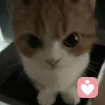 仁积的头像
