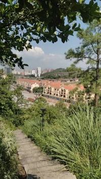 真正的接受自己的全部和改正自己的惡信，才是愛真正的自己呀(｀?ω′?)好好生活吧這是自己曾經(jīng)欠自己的幸福呀配圖