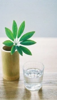 傾聽時我會這樣做:有耐心、有責任感、有技術能力、有良好的判斷力、有良好的聆聽力。配圖
