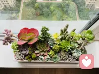 假期休息
不想出門人擠人
宅家配圖