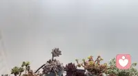 大霧彌漫
注意安全……配圖
