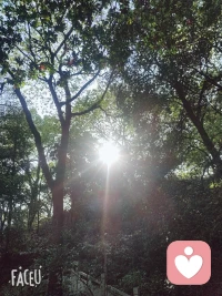 泰戈爾《用生命影響生命》：

把自己活成一道光，因為你不知道，誰會借著你的光，走出了黑暗。
請保持心中的善良，因為你不知道，誰會借著你的善良，走出了絕望。
請保持你心中的信仰，因為你不知道，誰會借著你的信仰，走出了迷茫。
請相信自己的力量，因為你不知道，誰會因為相信你，開始相信了自己……
愿我們每個人都能活成一束光，綻放著所有的美好！
也許我做不到多么高尚，但是我會盡可能堅持對生活的熱愛，對信念的堅守，不去隨波逐流，擁有自己的正確的價值觀，在逆境中成長，直到能抵御八面來風。
這是我對生活的向往，保持善良，不受拘束，直來直往，努力提升，不負青春，也許做的事情并不能帶來什么利益，但也因為熱愛，給予了這件事別樣的意義。配圖