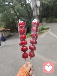 快樂很簡單，它不在過去，也不在未來，就在當下，此時此刻！配圖